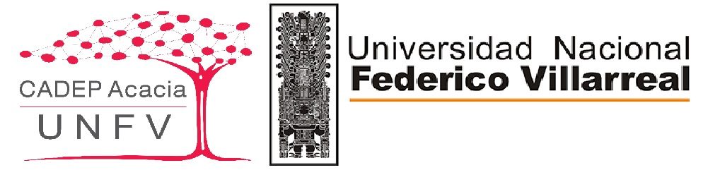 Universidad Nacional Federico Villarreal